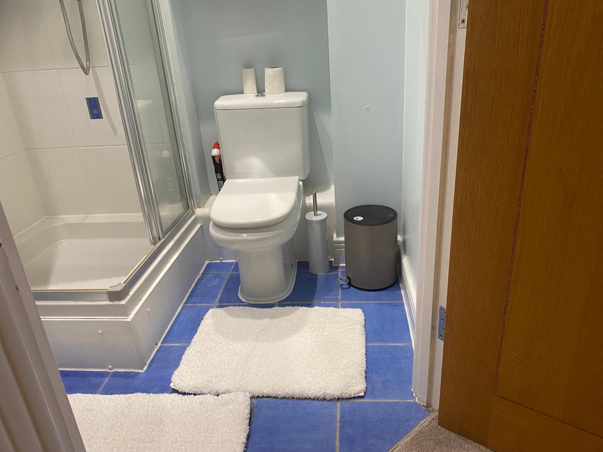 Cosy 2 Bedroom Royal Docks Apartment *